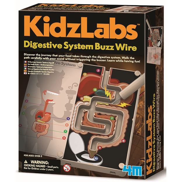 4m kidz labs on sale