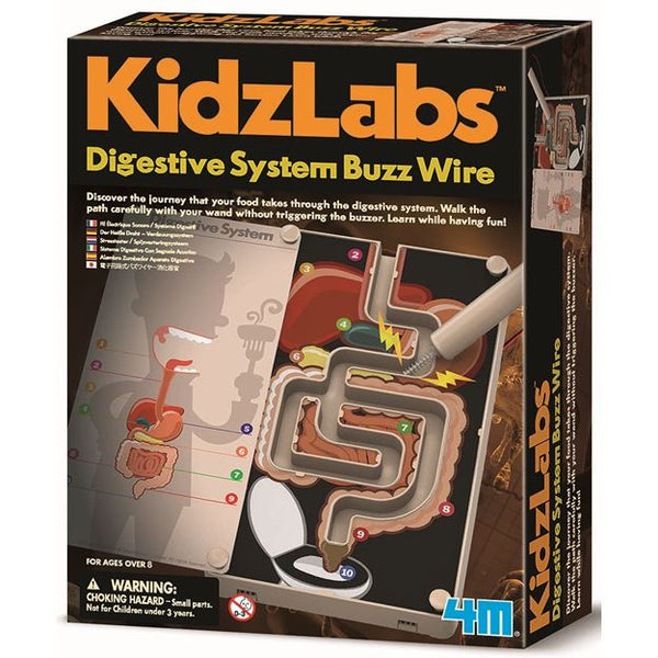 4M Kidz Labs Digestive System Buzz Wire - 4M - Toys101