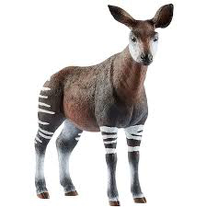 Schleich Okapi (Grey Dot) - Schleich - Toys101