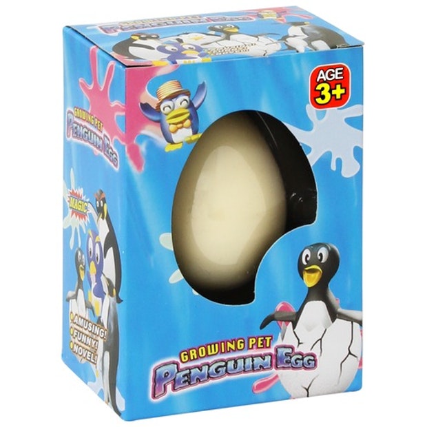 Growing Pet Hatching Penguin Egg - SSS - Toys101