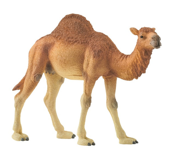 Schleich Dromedary (Grey Got)