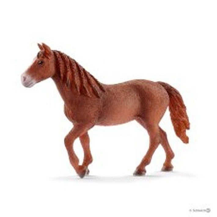 Schleich Morgan Horse Mare (Grey Dot) - Schleich - Toys101