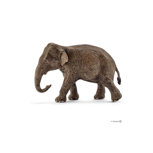 Schleich Asian Elephant Female (Brown Dot) - Schleich - Toys101