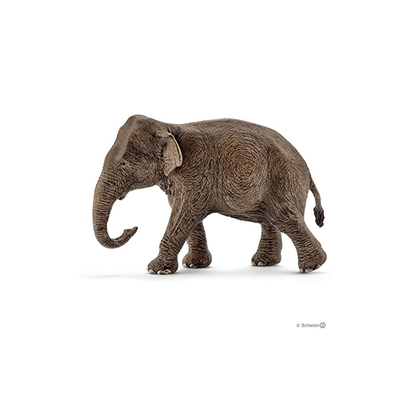 Schleich Asian Elephant Female (Brown Dot) - Schleich - Toys101