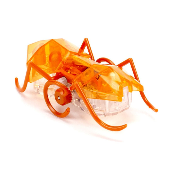 Hex Bugs Micro Ant Assorted - Hexbug - Toys101