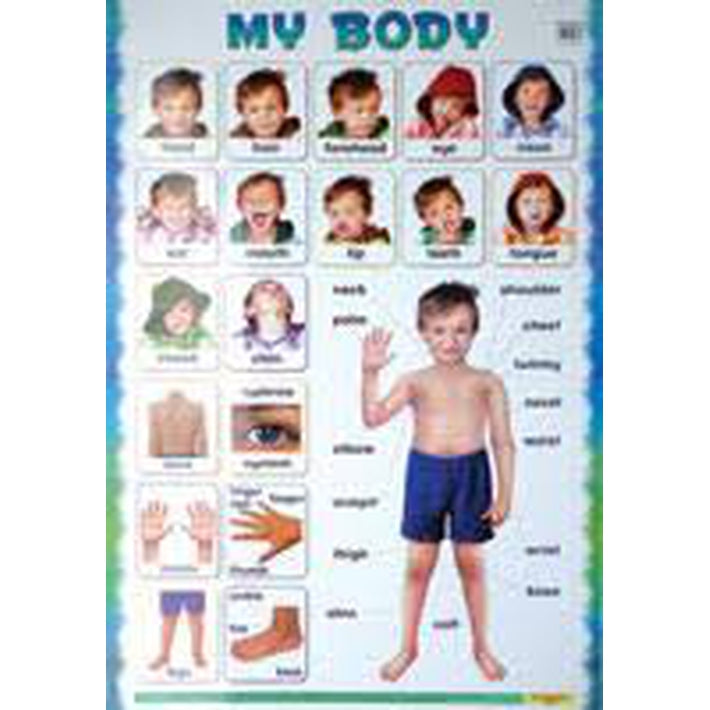 Mind To Mind Educational Chart My Body - Mind to Mind - Toys101