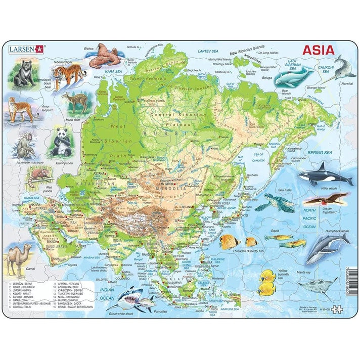 Map Of Asia Puzzle - Safari - Toys101